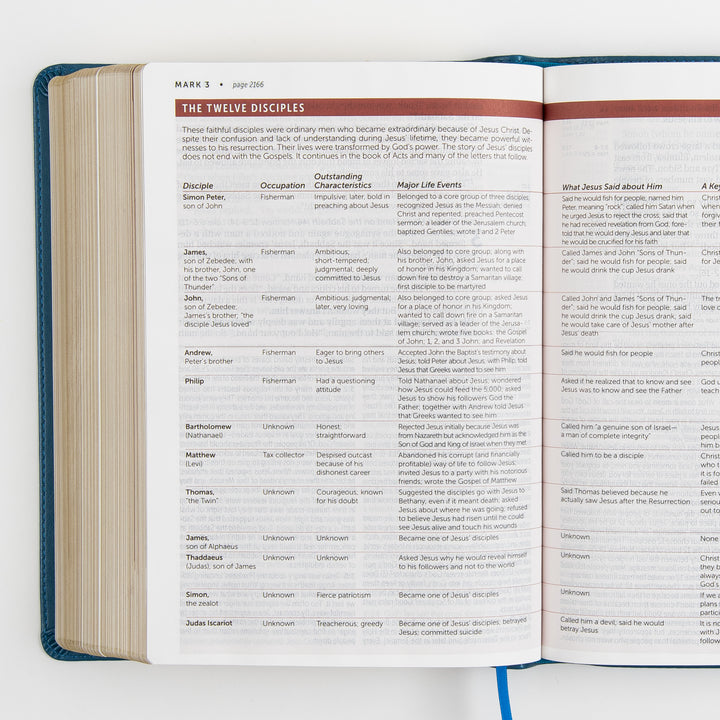 Open Bible to Mark chapter 3, featuring &