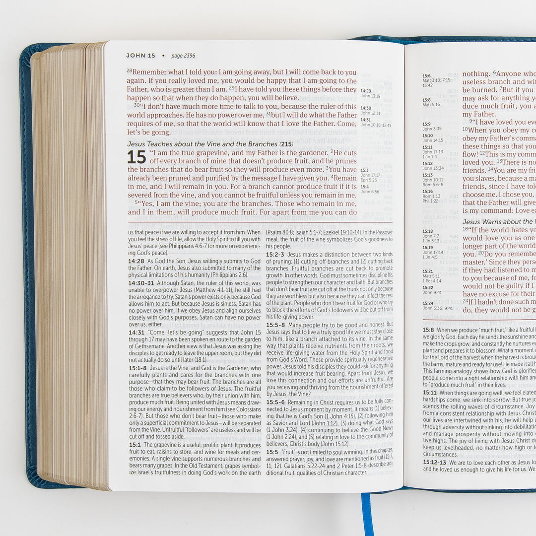 Open Bible to John chapter 15, showing the passage &