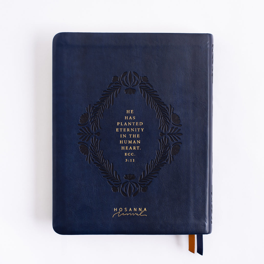 NLT Notetaking Bible - Versailles Theme