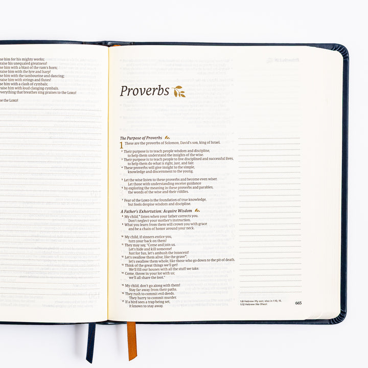 NLT Notetaking Bible - Versailles Theme
