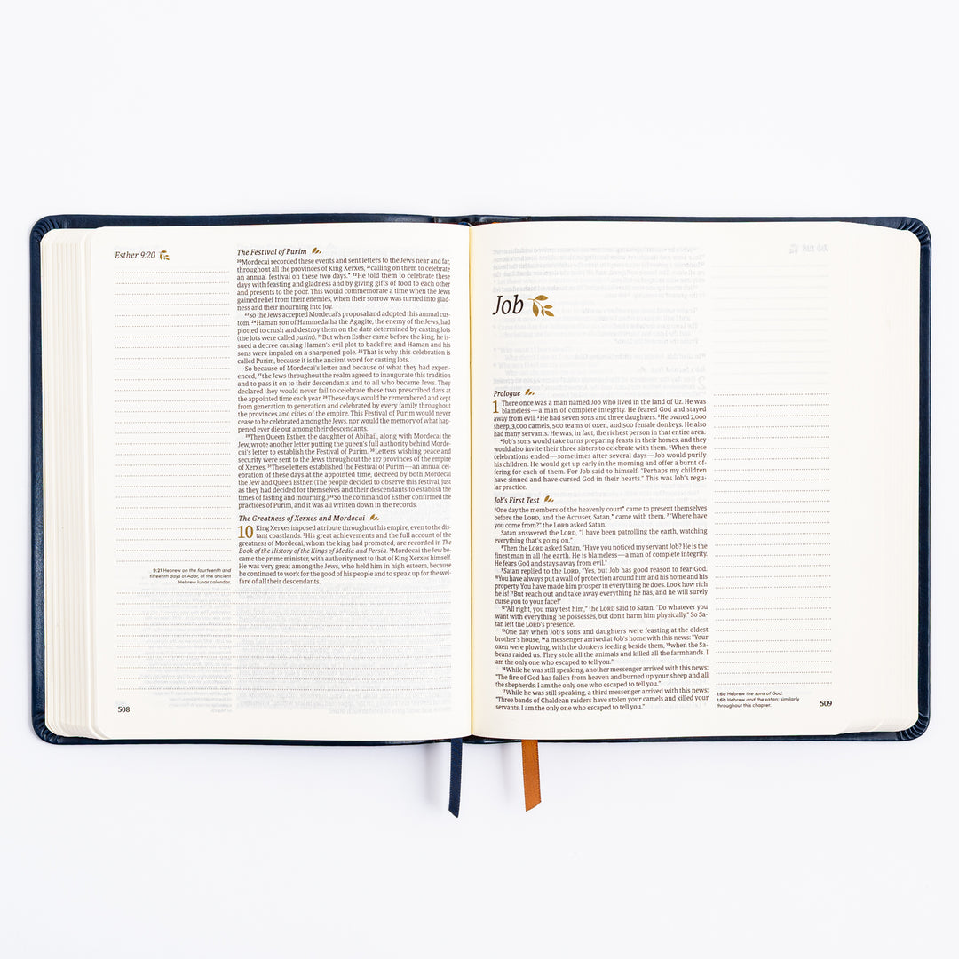 NLT Notetaking Bible - Versailles Theme