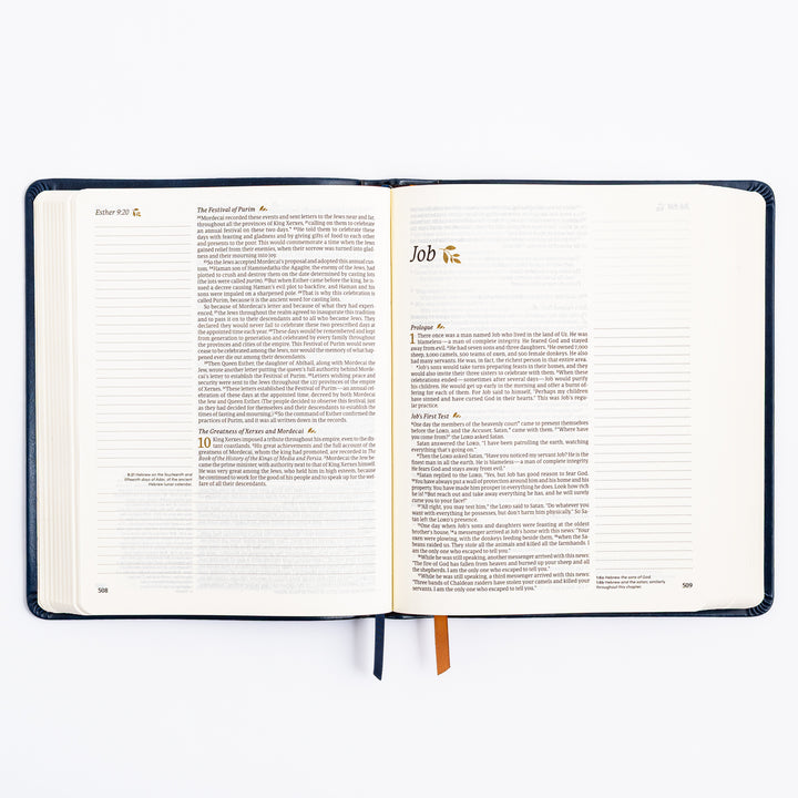 NLT Notetaking Bible - Versailles Theme