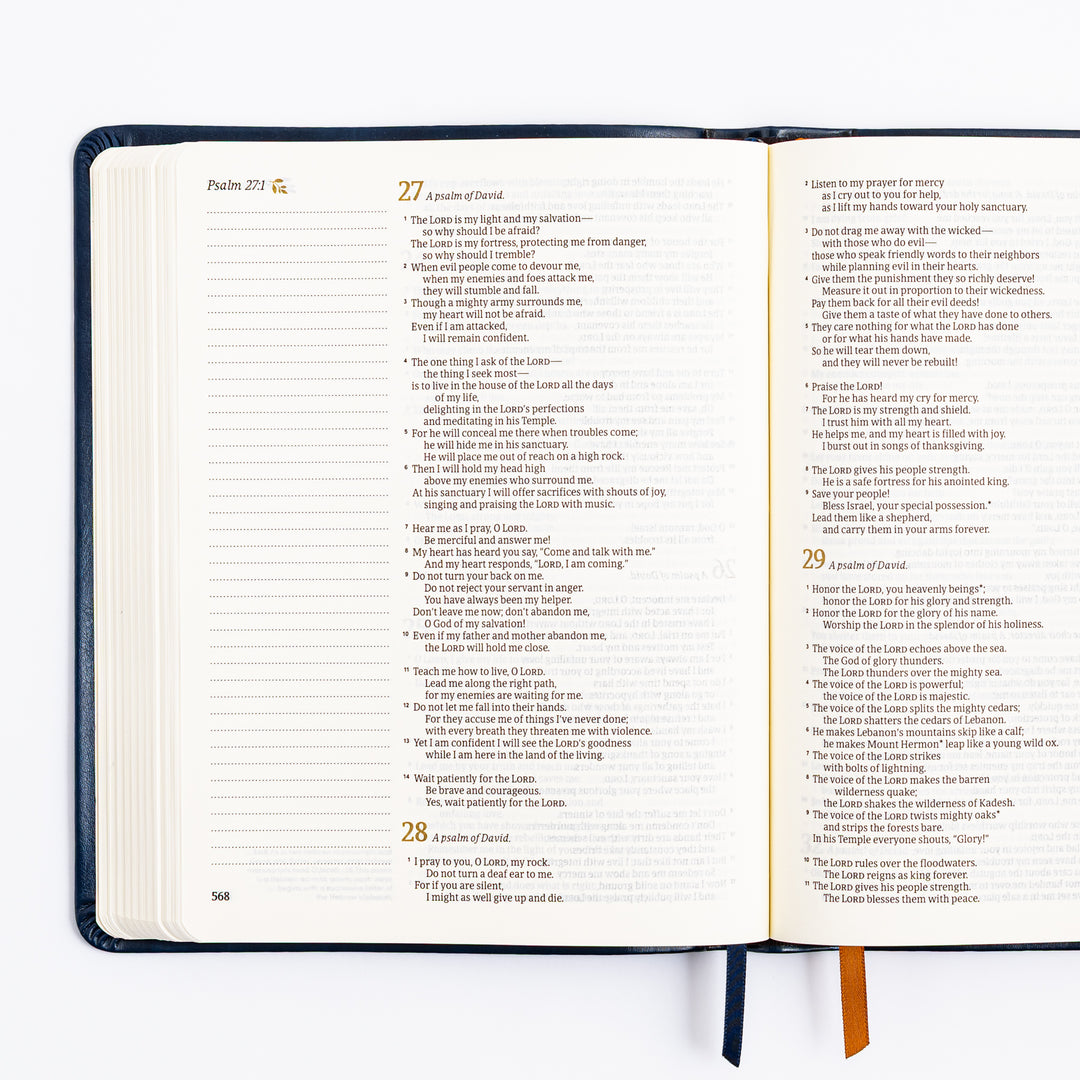 NLT Notetaking Bible - Versailles Theme