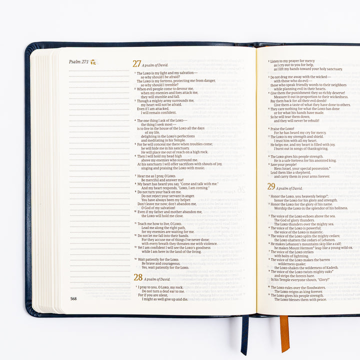 NLT Notetaking Bible - Versailles Theme