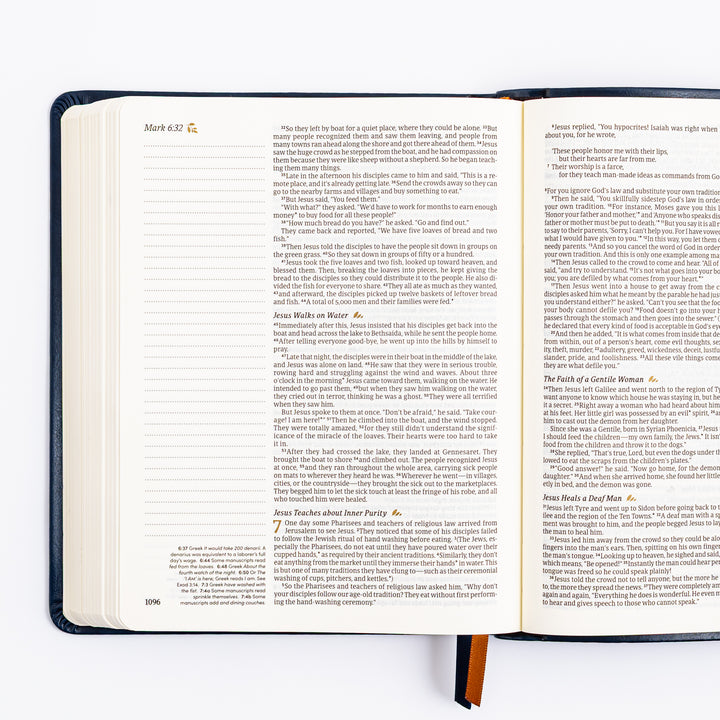 NLT Notetaking Bible - Versailles Theme
