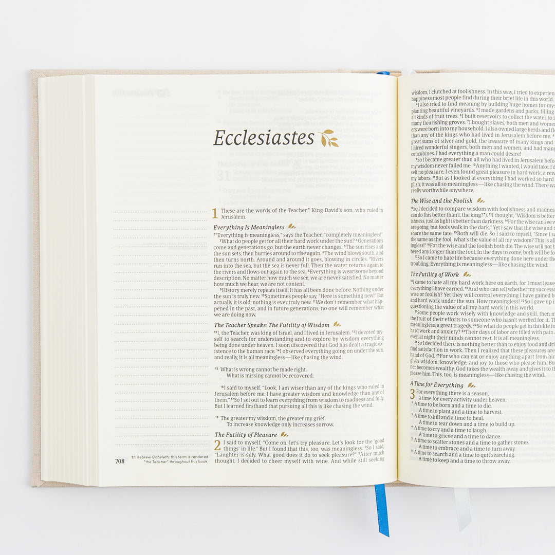 NLT Notetaking Bible: Adelaide Theme