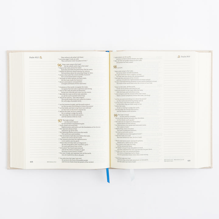 NLT Notetaking Bible: Adelaide Theme