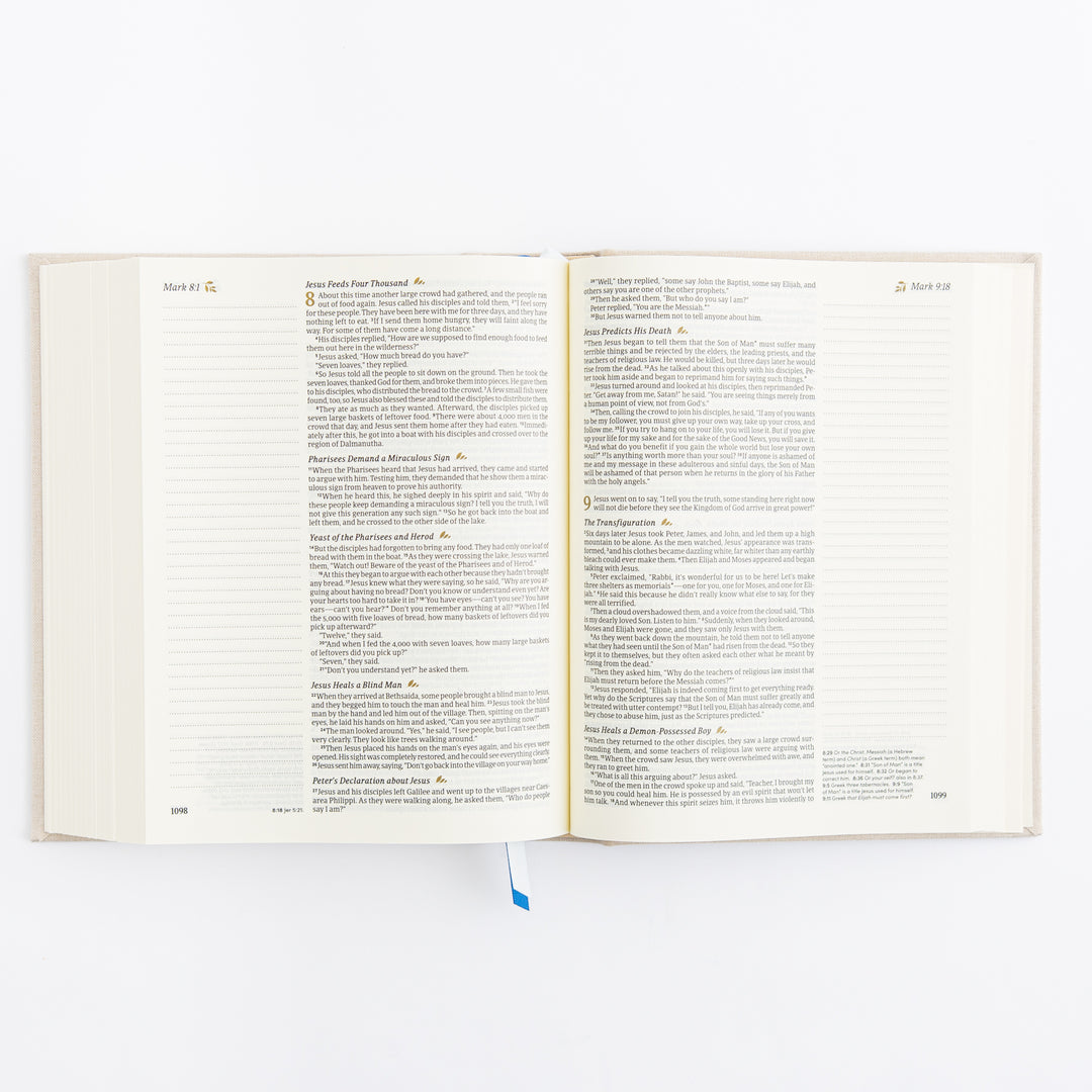 NLT Notetaking Bible: Adelaide Theme