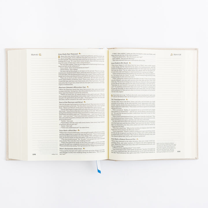 NLT Notetaking Bible: Adelaide Theme