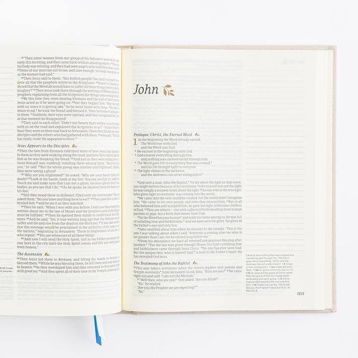 NLT Notetaking Bible: Adelaide Theme