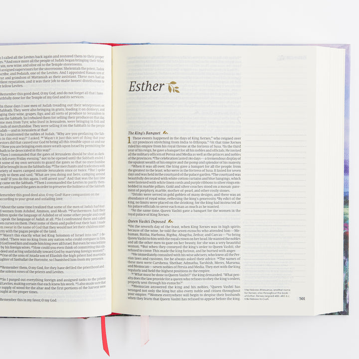 NLT Notetaking Bible - Cloth over Board, Cana