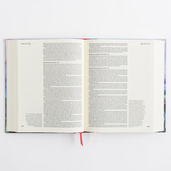 NLT Notetaking Bible - Cloth over Board, Cana
