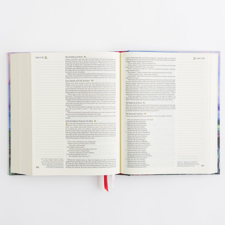 NLT Notetaking Bible - Cloth over Board, Cana