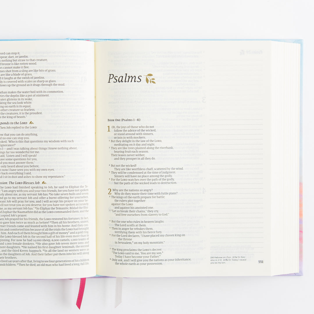 NLT Notetaking Bible - Cloth over Board, Rosemary Beach