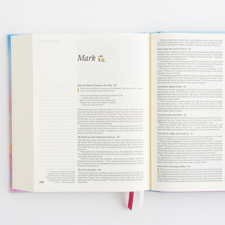 NLT Notetaking Bible - Cloth over Board, Rosemary Beach