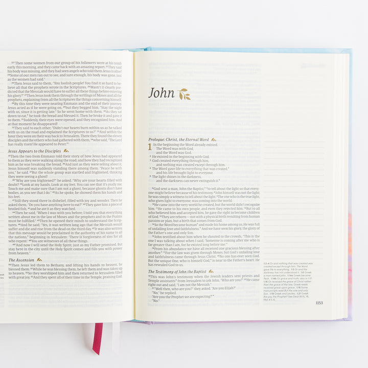 NLT Notetaking Bible - Cloth over Board, Rosemary Beach