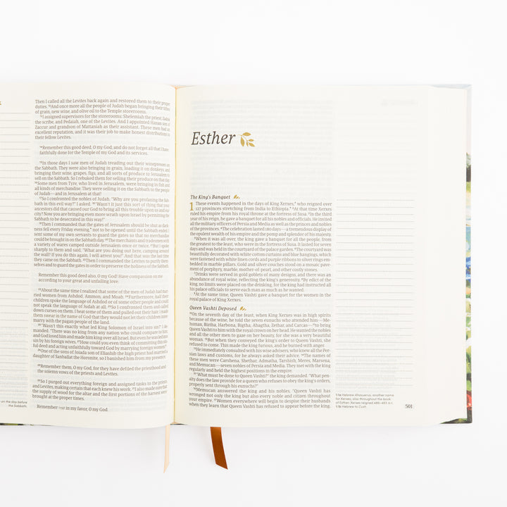 NLT Notetaking Bible - Coram Theme