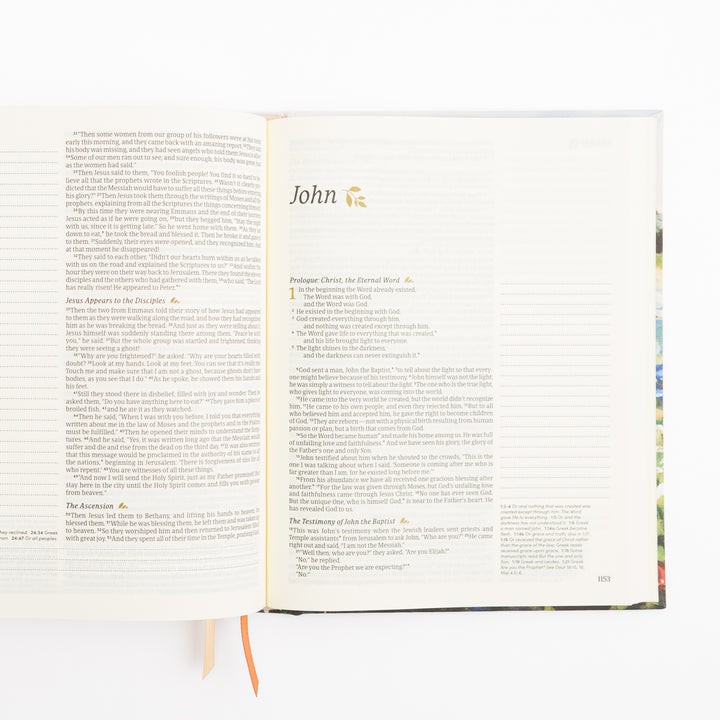 NLT Notetaking Bible - Coram Theme