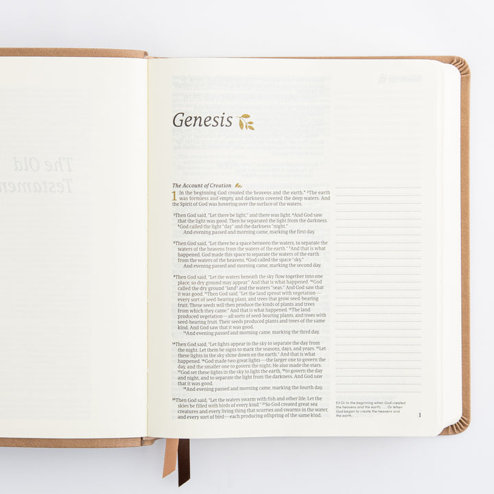 NLT Notetaking Bible: Galilee Theme