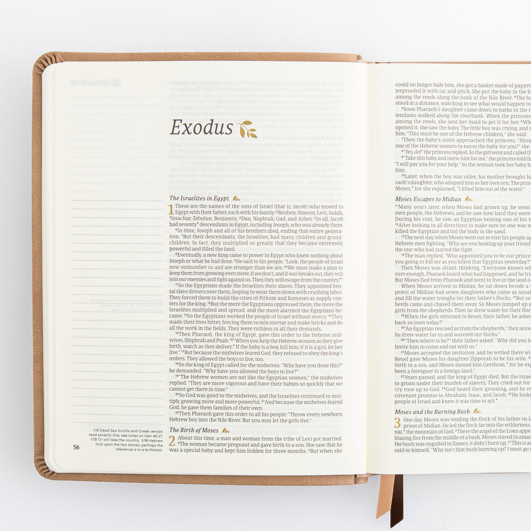 NLT Notetaking Bible: Galilee Theme