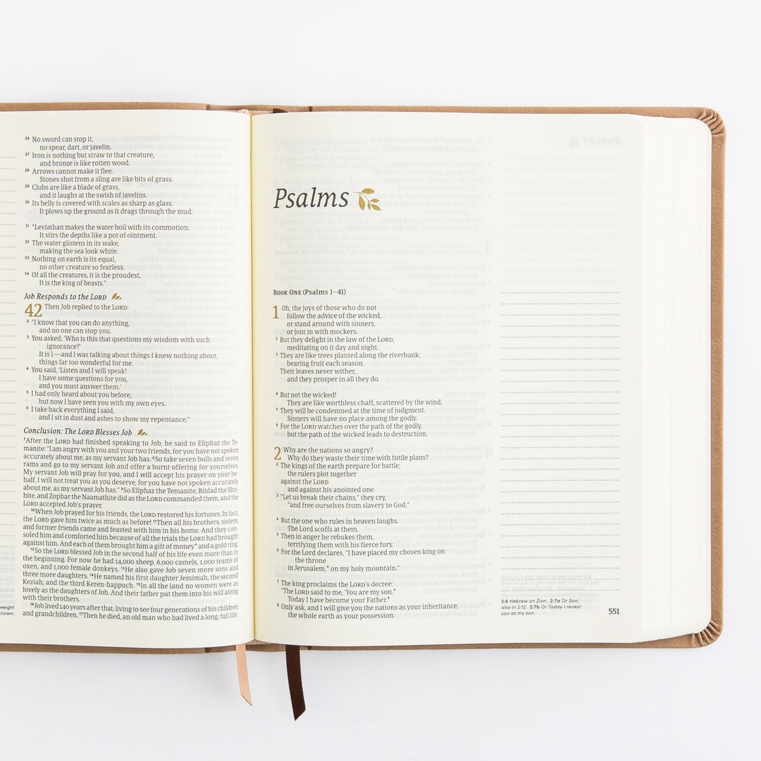 NLT Notetaking Bible: Galilee Theme