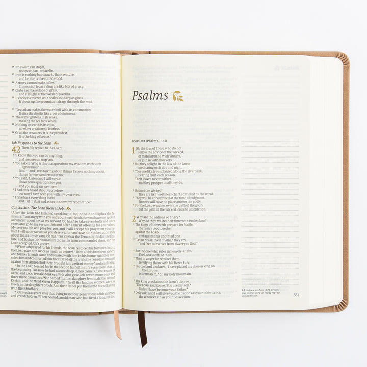 NLT Notetaking Bible: Galilee Theme