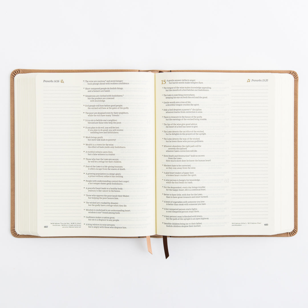 NLT Notetaking Bible: Galilee Theme