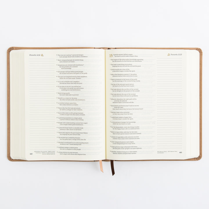 NLT Notetaking Bible: Galilee Theme