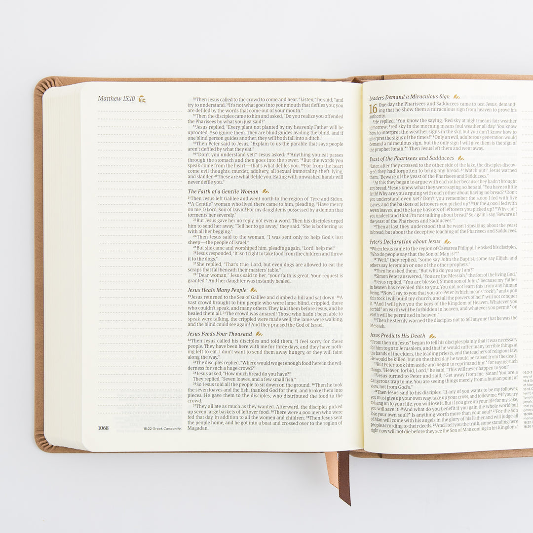 NLT Notetaking Bible: Galilee Theme