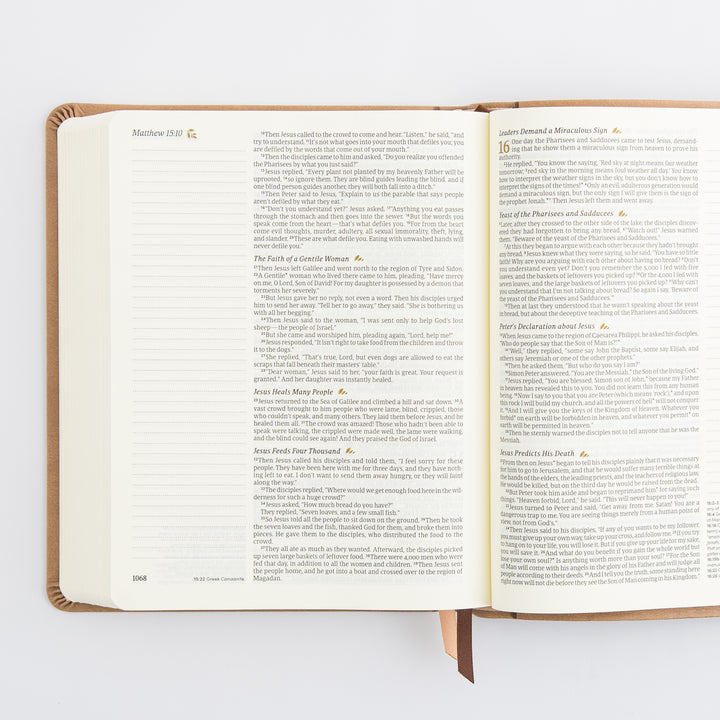 NLT Notetaking Bible: Galilee Theme