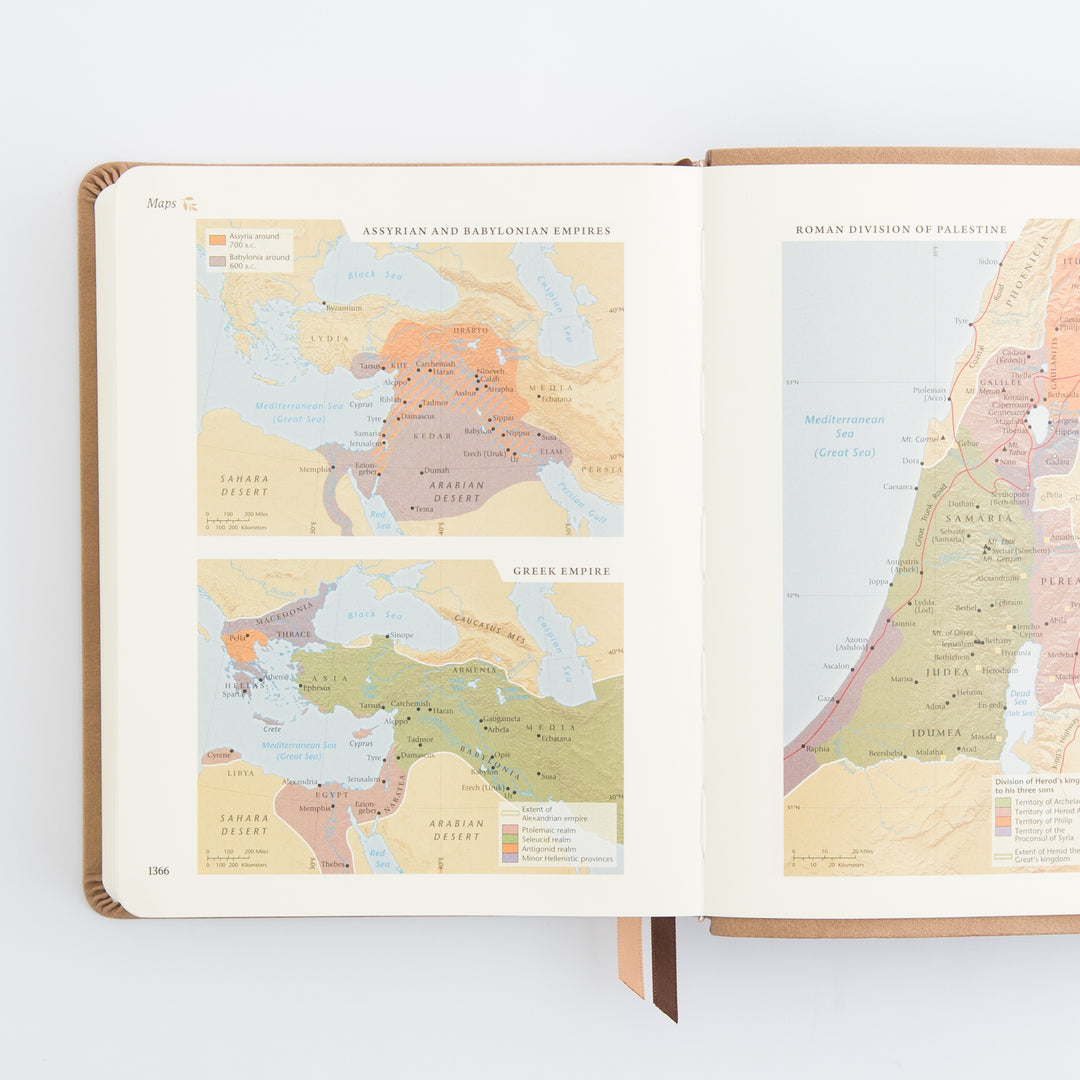 NLT Notetaking Bible: Galilee Theme