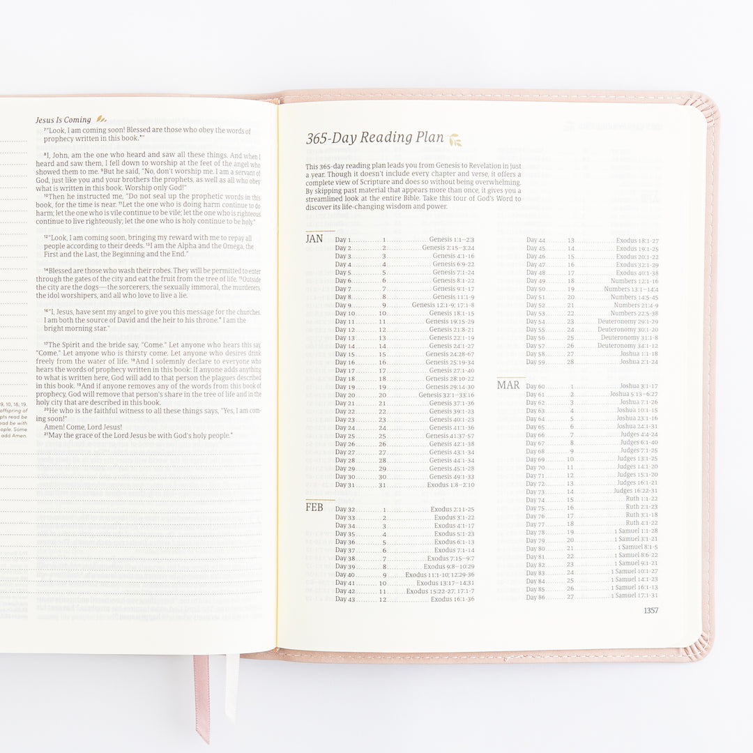 NLT Journaling Bible - Single Column - Shiloh Theme