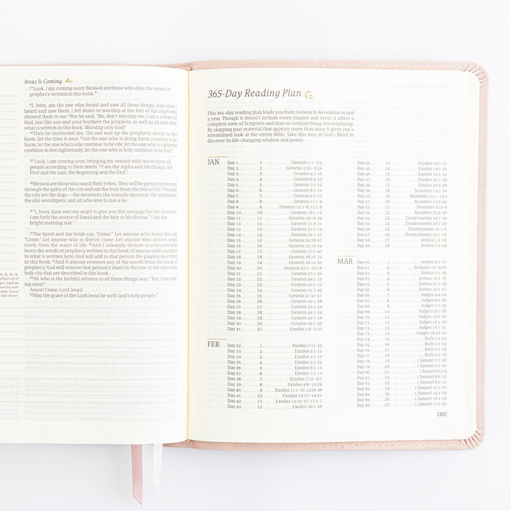 NLT Journaling Bible - Single Column - Shiloh Theme