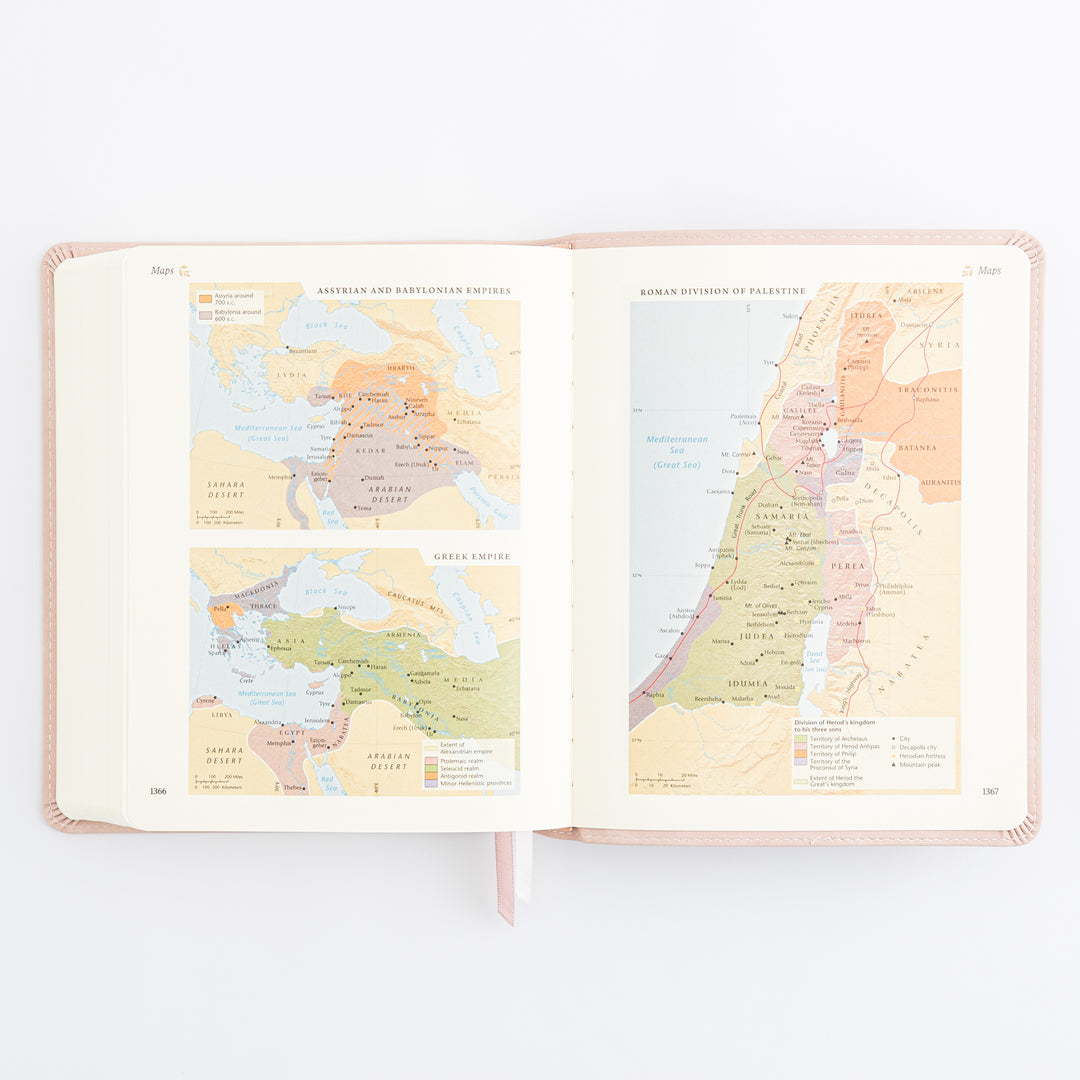 NLT Journaling Bible - Single Column - Shiloh Theme