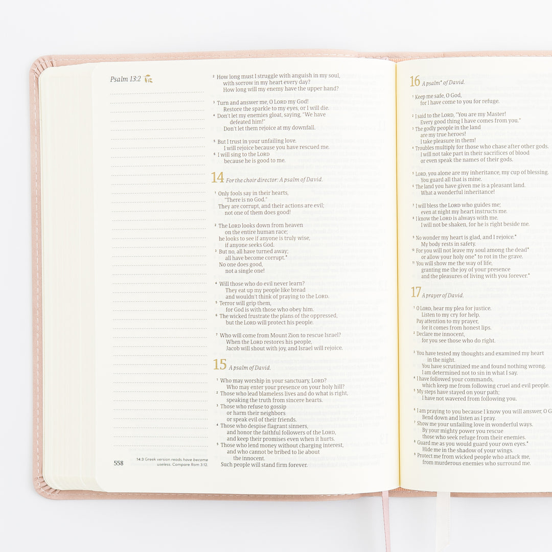NLT Journaling Bible - Single Column - Shiloh Theme