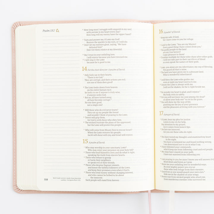 NLT Journaling Bible - Single Column - Shiloh Theme