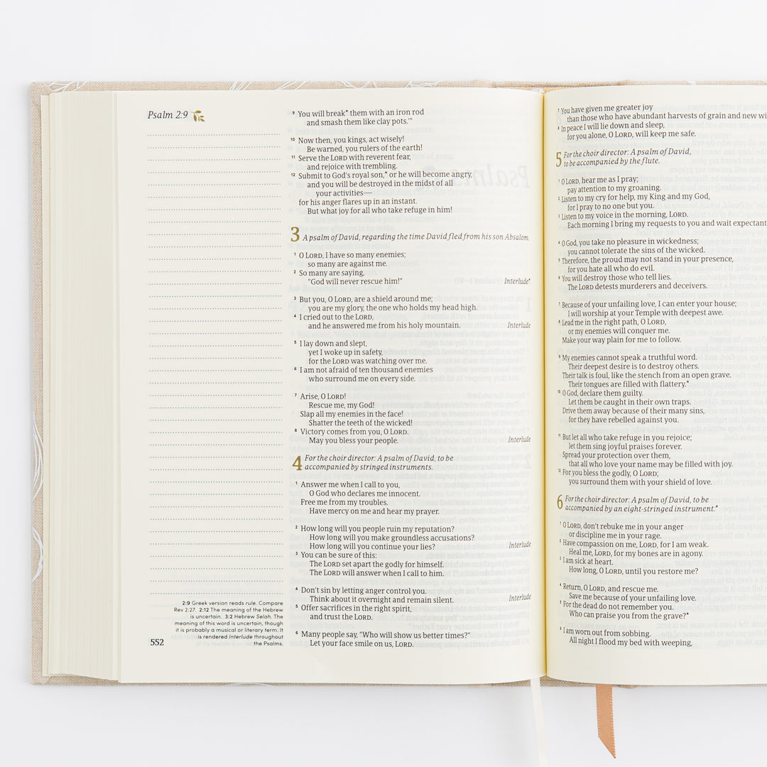 NLT Notetaking Bible - Cloth over Board - Cordova Theme