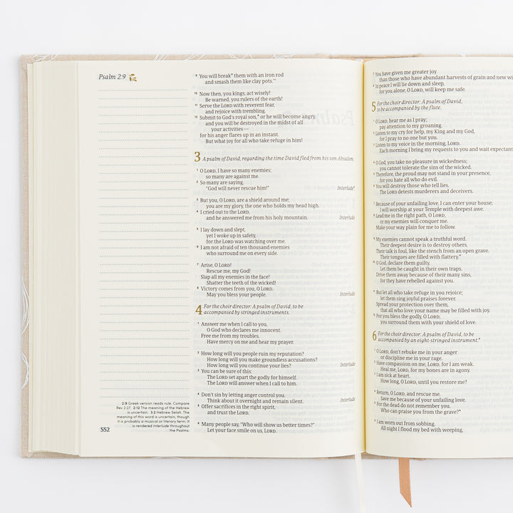 NLT Notetaking Bible - Cloth over Board - Cordova Theme