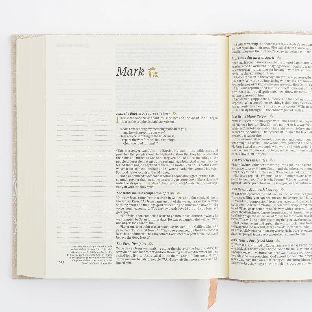 NLT Notetaking Bible - Cloth over Board - Cordova Theme
