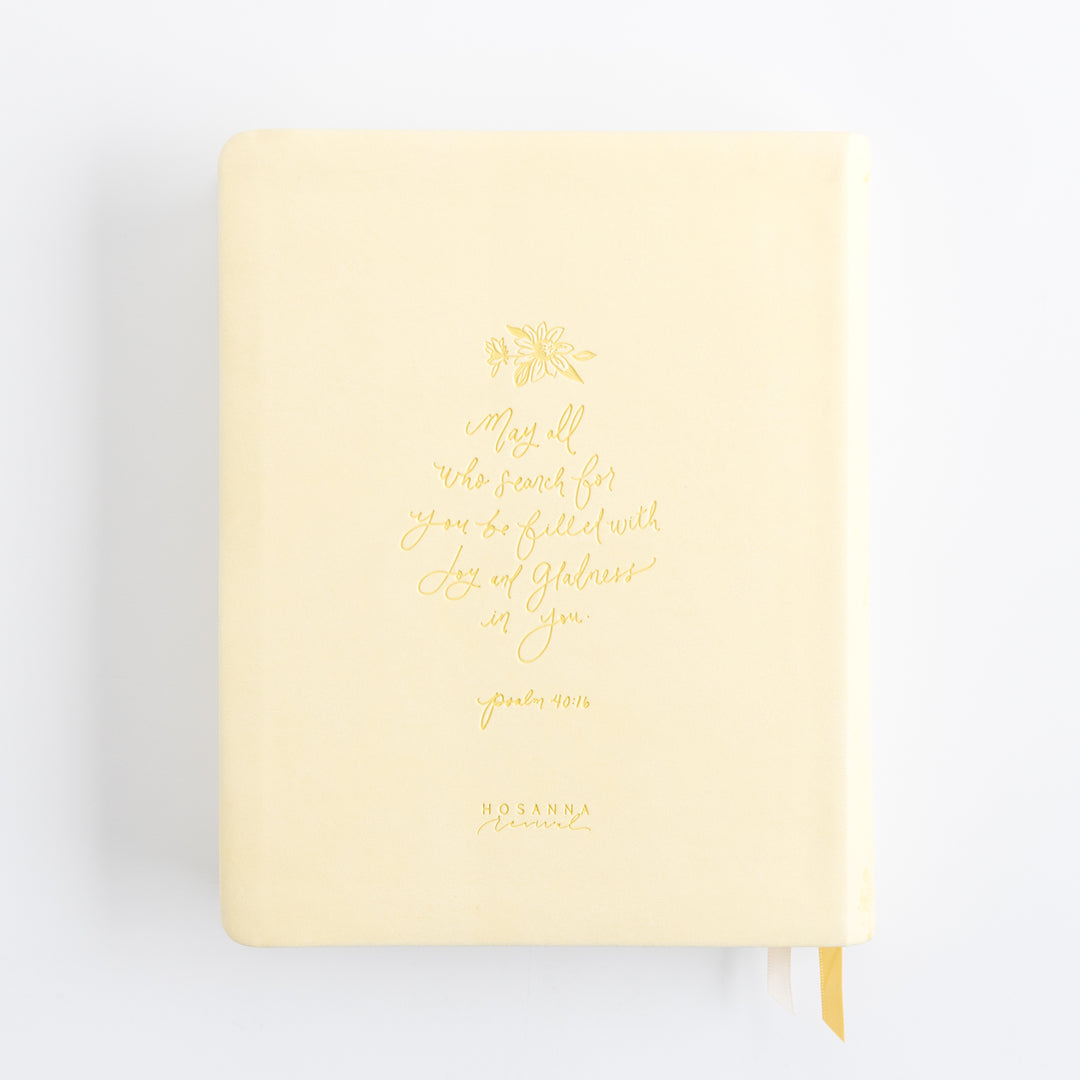 NLT Notetaking Bible - Leather-Like, Belfast