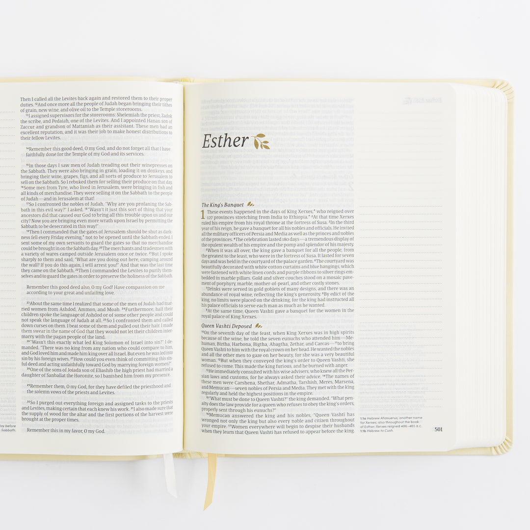 NLT Notetaking Bible - Leather-Like, Belfast