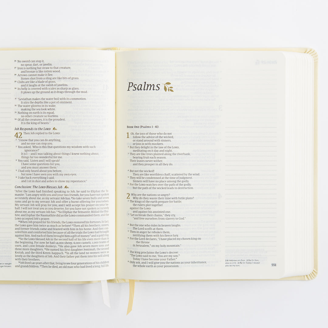 NLT Notetaking Bible - Leather-Like, Belfast