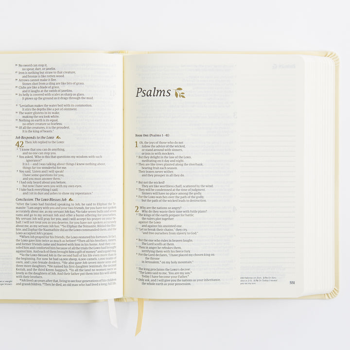 NLT Notetaking Bible - Leather-Like, Belfast