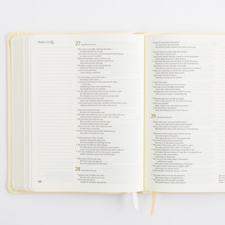 NLT Notetaking Bible - Leather-Like, Belfast