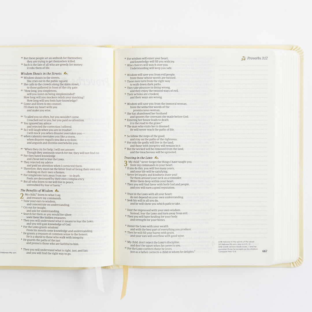 NLT Notetaking Bible - Leather-Like, Belfast