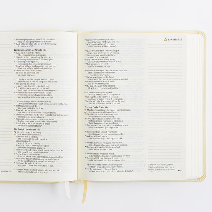 NLT Notetaking Bible - Leather-Like, Belfast