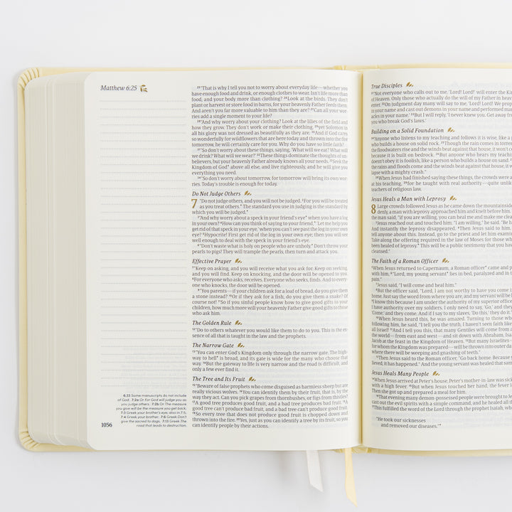 NLT Notetaking Bible - Leather-Like, Belfast