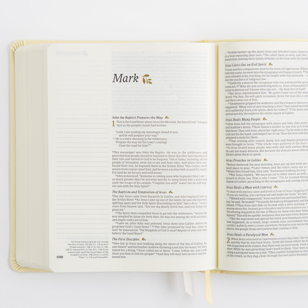 NLT Notetaking Bible - Leather-Like, Belfast