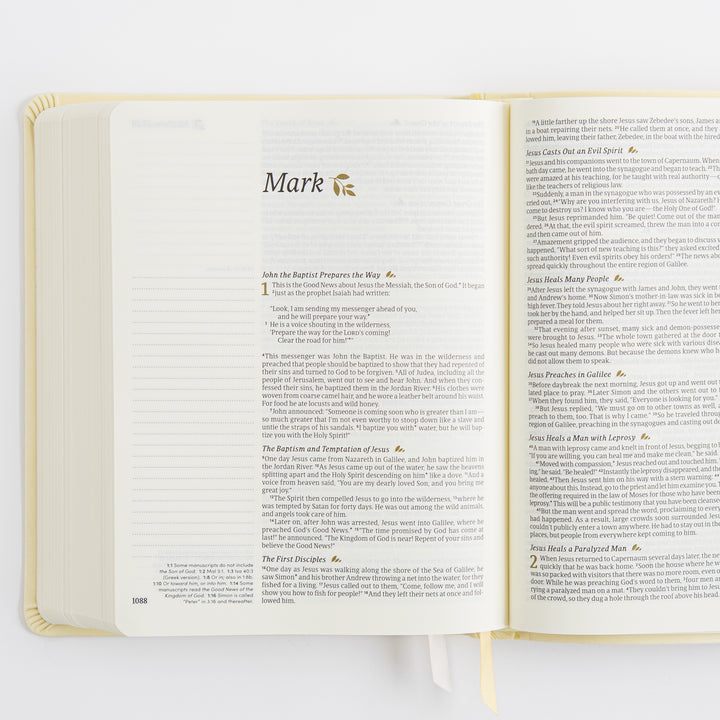 NLT Notetaking Bible - Leather-Like, Belfast