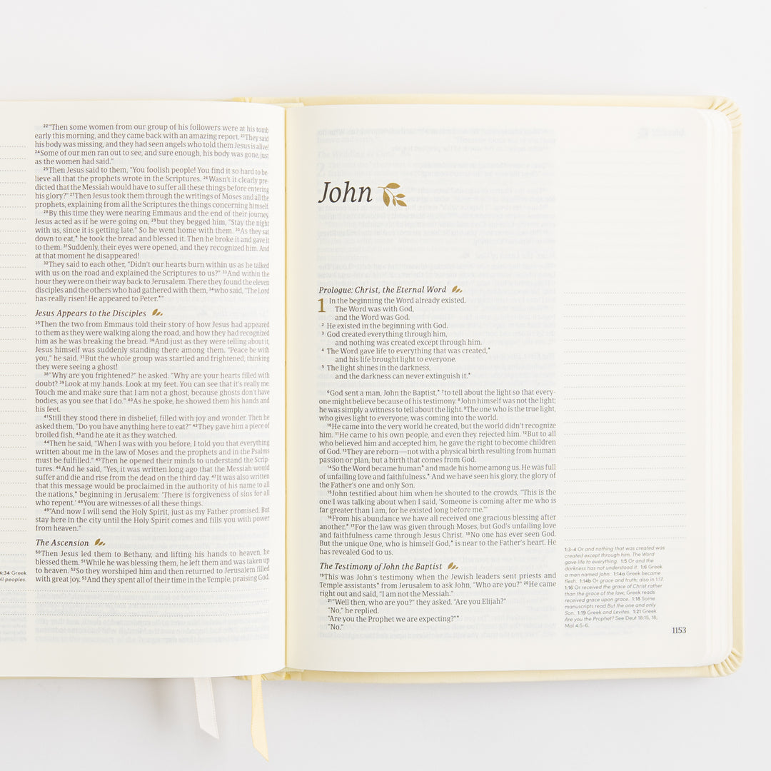 NLT Notetaking Bible - Leather-Like, Belfast